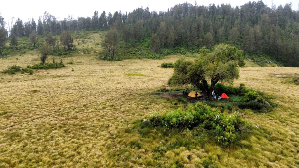 Camp Argopuro dzakventure.id